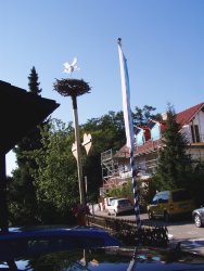 bbbaum_0.jpg  (632 kB)