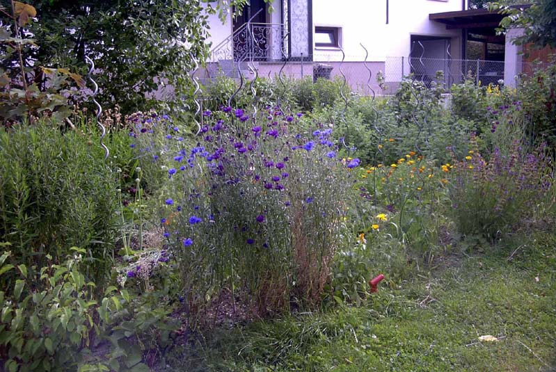 05036ulli-haus.jpg  (1000 kB)