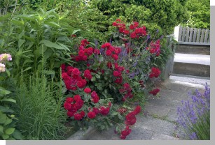 05031ulli-haus.JPG  (236 kB)